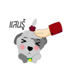 Khaiwhan a little dog（個別スタンプ：37）