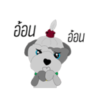 Khaiwhan a little dog（個別スタンプ：38）