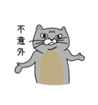 Mouth cat（個別スタンプ：37）
