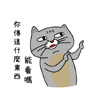 Mouth cat（個別スタンプ：39）