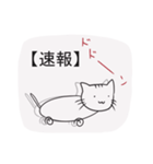 雑ネコのお気持ちスタンプ（個別スタンプ：15）
