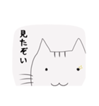 雑ネコのお気持ちスタンプ（個別スタンプ：29）