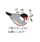 どうも、文鳥です（個別スタンプ：24）