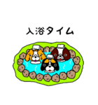GO！ GO！すぱにえるず（個別スタンプ：39）