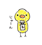 ほっぺがぷっくりひよこ（個別スタンプ：24）