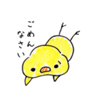 ほっぺがぷっくりひよこ（個別スタンプ：34）