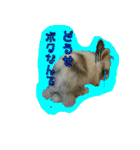 もふもふたちの日常（個別スタンプ：3）
