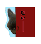 もふもふたちの日常（個別スタンプ：6）
