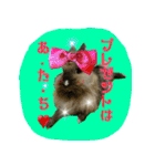 もふもふたちの日常（個別スタンプ：10）