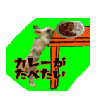 もふもふたちの日常（個別スタンプ：13）