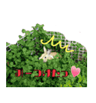 もふもふたちの日常（個別スタンプ：21）