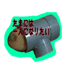 もふもふたちの日常（個別スタンプ：24）