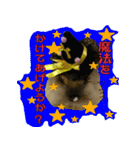 もふもふたちの日常（個別スタンプ：25）