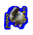 もふもふたちの日常（個別スタンプ：28）