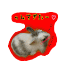 もふもふたちの日常（個別スタンプ：34）