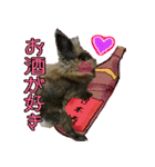 もふもふたちの日常（個別スタンプ：38）