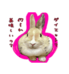 もふもふたちの日常（個別スタンプ：40）