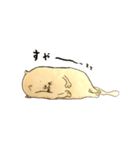 ポテトネコ（個別スタンプ：1）