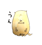 ポテトネコ（個別スタンプ：13）