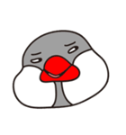 罵藏家族1（個別スタンプ：7）