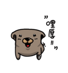 あなたの家に野良犬（個別スタンプ：1）