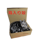ふきの日常（個別スタンプ：3）