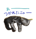 ふきの日常（個別スタンプ：4）