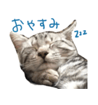 ふきの日常（個別スタンプ：6）