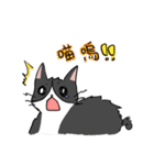 Cute and handsome cat（個別スタンプ：20）