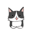 Cute and handsome cat（個別スタンプ：26）