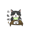 Cute and handsome cat（個別スタンプ：40）