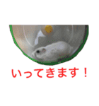 白黒家のハムスターたちスタンプ（個別スタンプ：21）