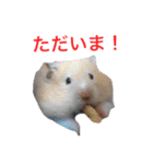白黒家のハムスターたちスタンプ（個別スタンプ：23）