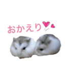 白黒家のハムスターたちスタンプ（個別スタンプ：24）