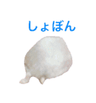 白黒家のハムスターたちスタンプ（個別スタンプ：26）
