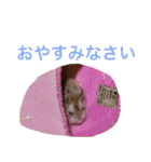 白黒家のハムスターたちスタンプ（個別スタンプ：30）