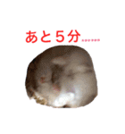 白黒家のハムスターたちスタンプ（個別スタンプ：32）