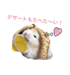 白黒家のハムスターたちスタンプ（個別スタンプ：35）