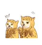 Owls of Thailand（個別スタンプ：5）