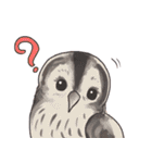 Owls of Thailand（個別スタンプ：6）