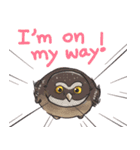Owls of Thailand（個別スタンプ：11）