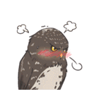 Owls of Thailand（個別スタンプ：14）