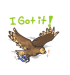 Owls of Thailand（個別スタンプ：15）