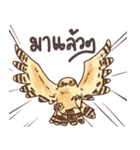 Owls of Thailand（個別スタンプ：19）