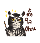 Owls of Thailand（個別スタンプ：22）