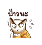 Owls of Thailand（個別スタンプ：24）