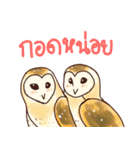 Owls of Thailand（個別スタンプ：26）