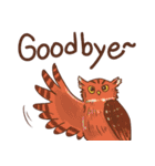 Owls of Thailand（個別スタンプ：30）