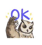 Owls of Thailand（個別スタンプ：36）