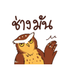 Owls of Thailand（個別スタンプ：37）